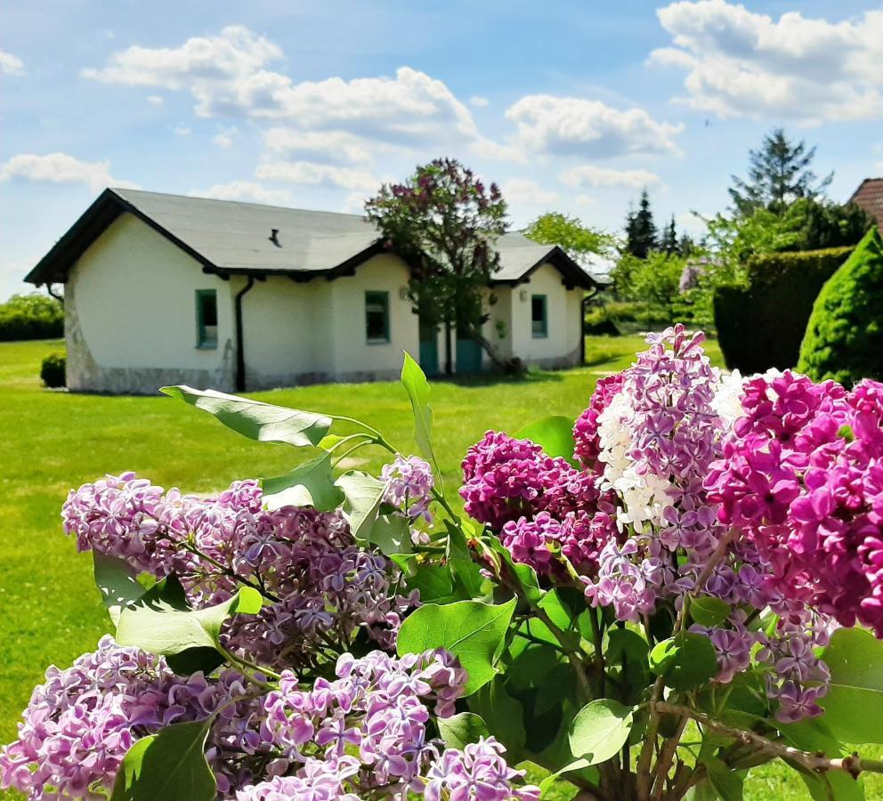 Pension Landhaus Teichgraf Wolgast Exteriér fotografie